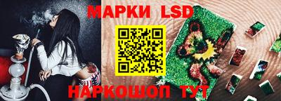 СК Гатчина