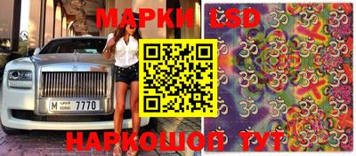 спиды Гагарин