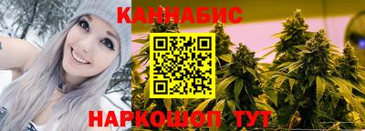 СК Гатчина