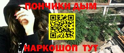 СК Гатчина
