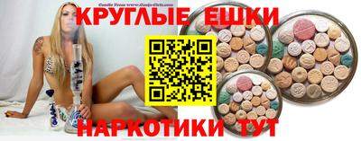 СК Гатчина