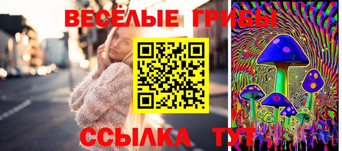Псилоцибиновые грибы прущие грибы Новороссийск