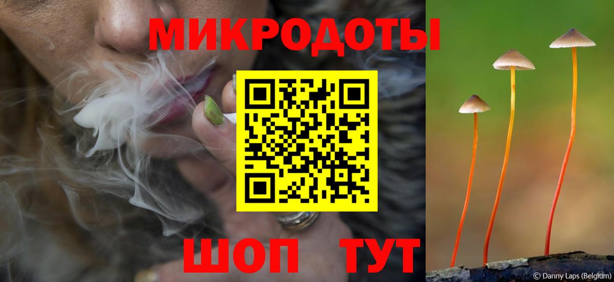 где купить наркоту  Галлюциногенные грибы ЛСД  Вход с VPN  Галлюциногенные грибы прущие грибы  Новороссийск 